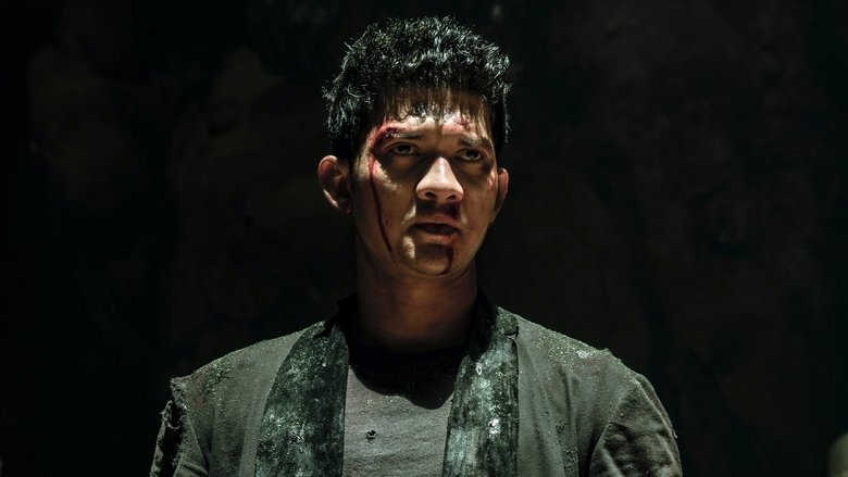 Fistful of Vengeance poster